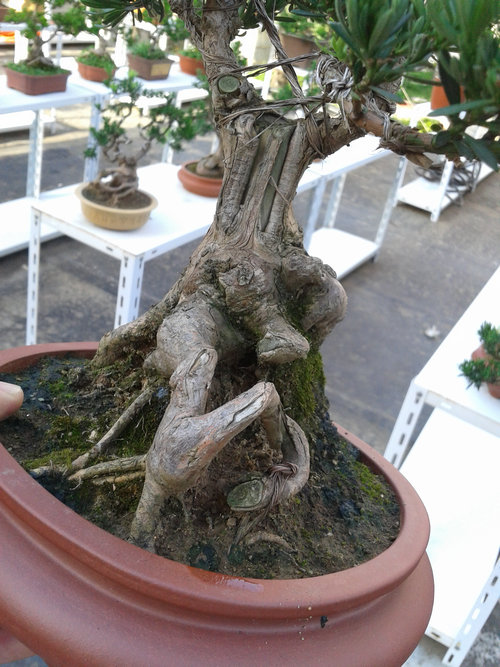 2013-07-13 17.21.27.jpg