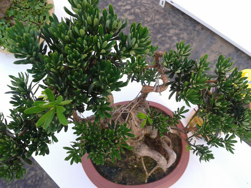 2013-07-13 17.24.28.jpg