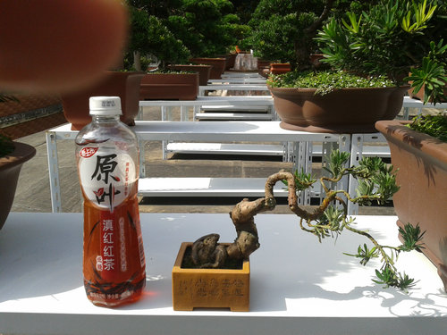 2013-07-13 15.02.28.jpg