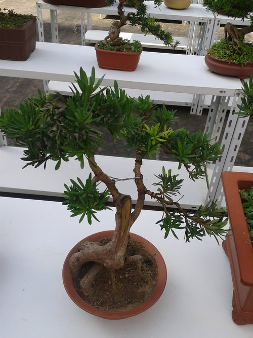 2013-07-13 14.57.21.jpg