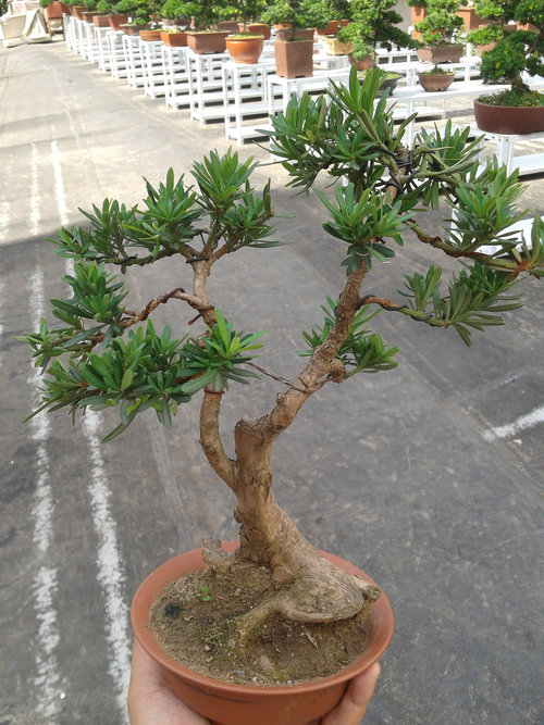 2013-07-13 14.59.06.jpg