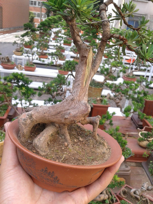 2013-07-13 15.00.10.jpg