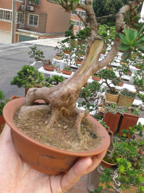 2013-07-13 15.00.23.jpg