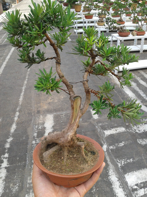 2013-07-13 15.00.44.jpg