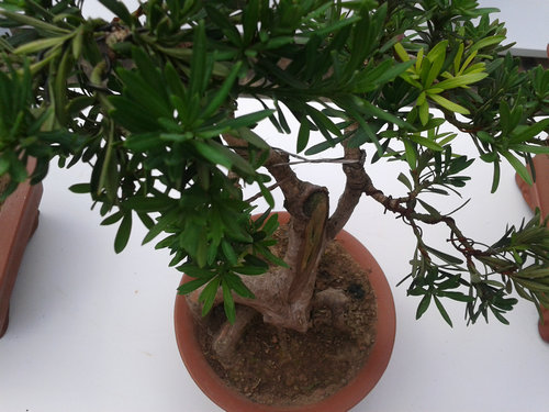 2013-07-13 15.01.10.jpg