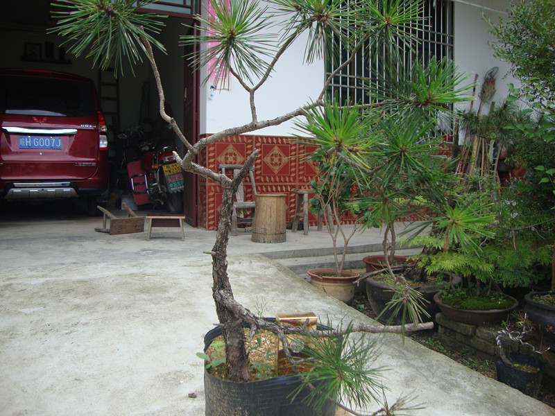 DSC01279_.jpg