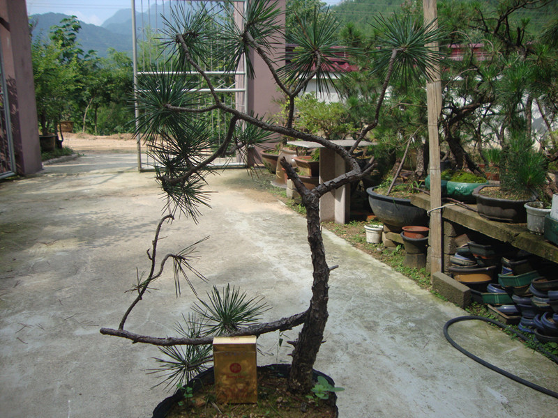 DSC01280_.jpg