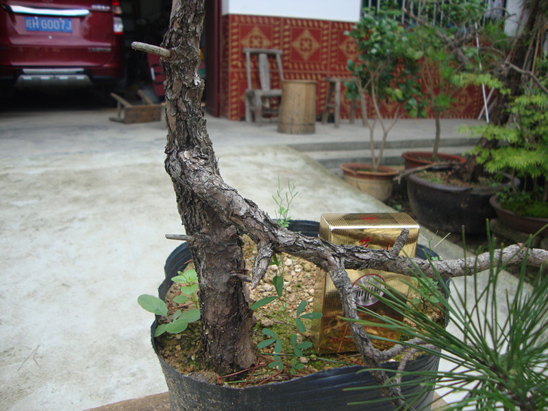 DSC01281_.jpg
