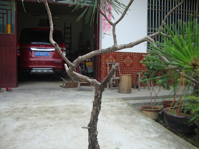 DSC01282_.jpg