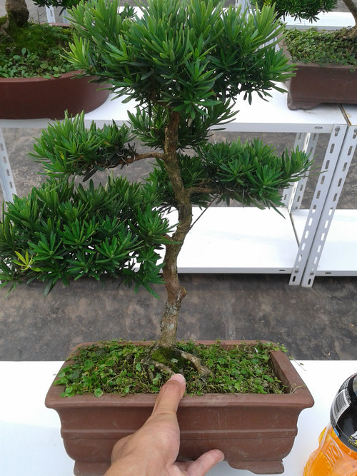 2013-07-07 16.33.17.jpg