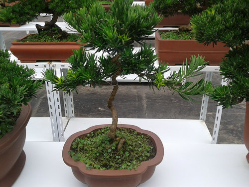 2013-07-07 13.22.26.jpg