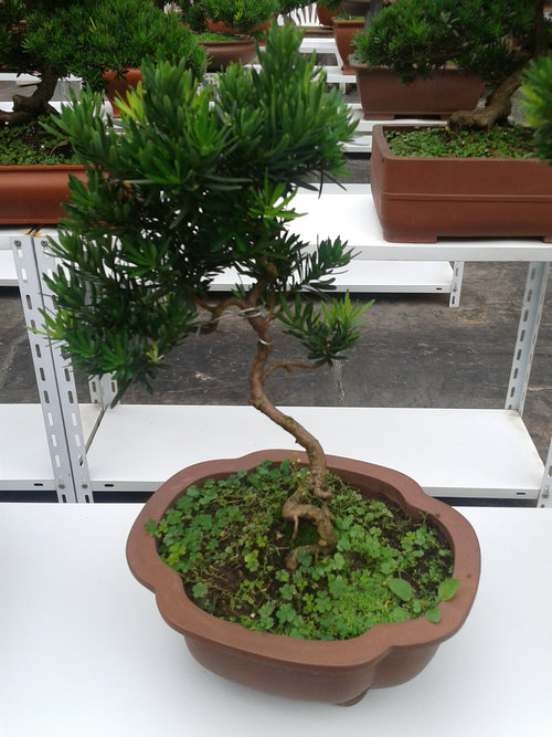 2013-07-07 13.19.39.jpg