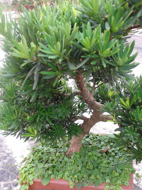 2013-07-07 16.10.32.jpg