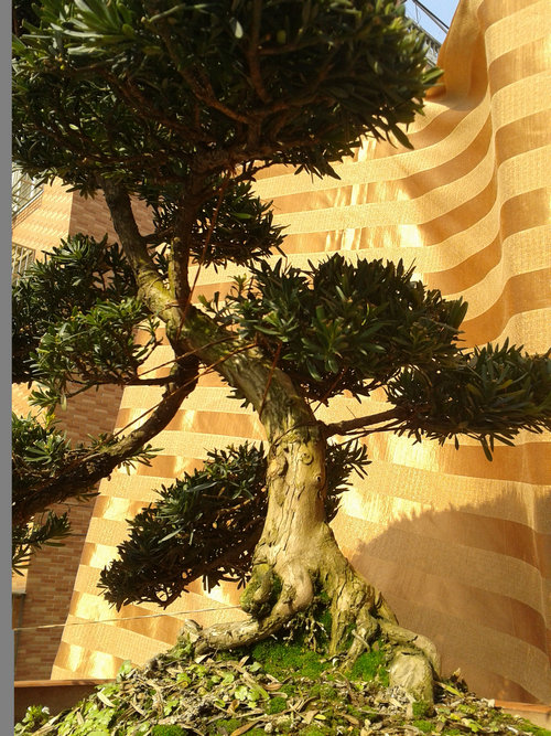 2013-01-18 12.25.46.jpg