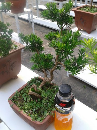 2013-07-07 16.24.40.jpg