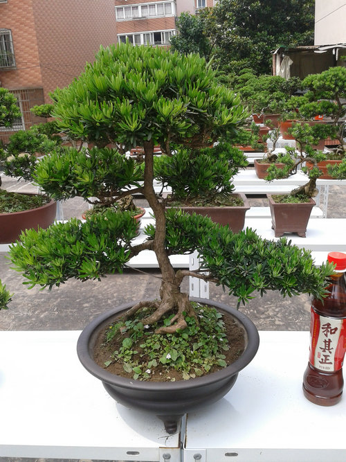 2013-05-29 13.33.46.jpg