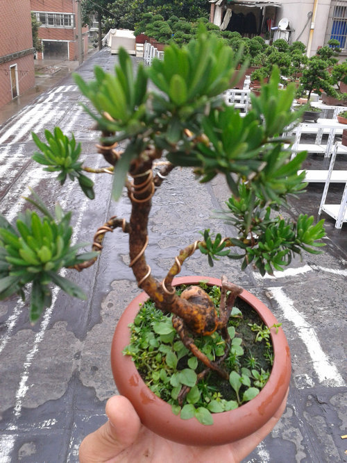 2013-06-27 14.53.08.jpg