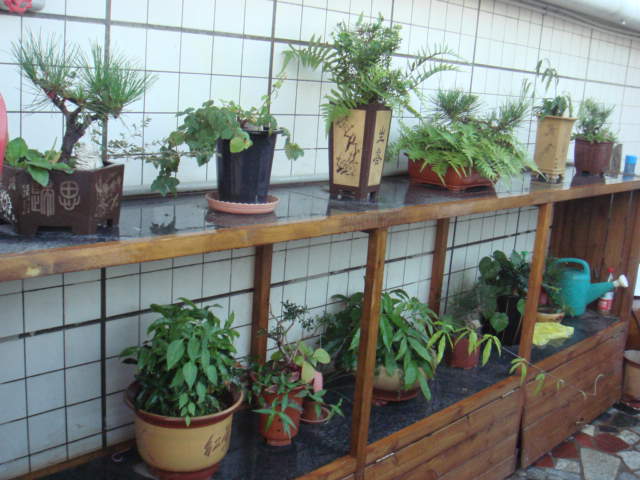 DSC03558.JPG