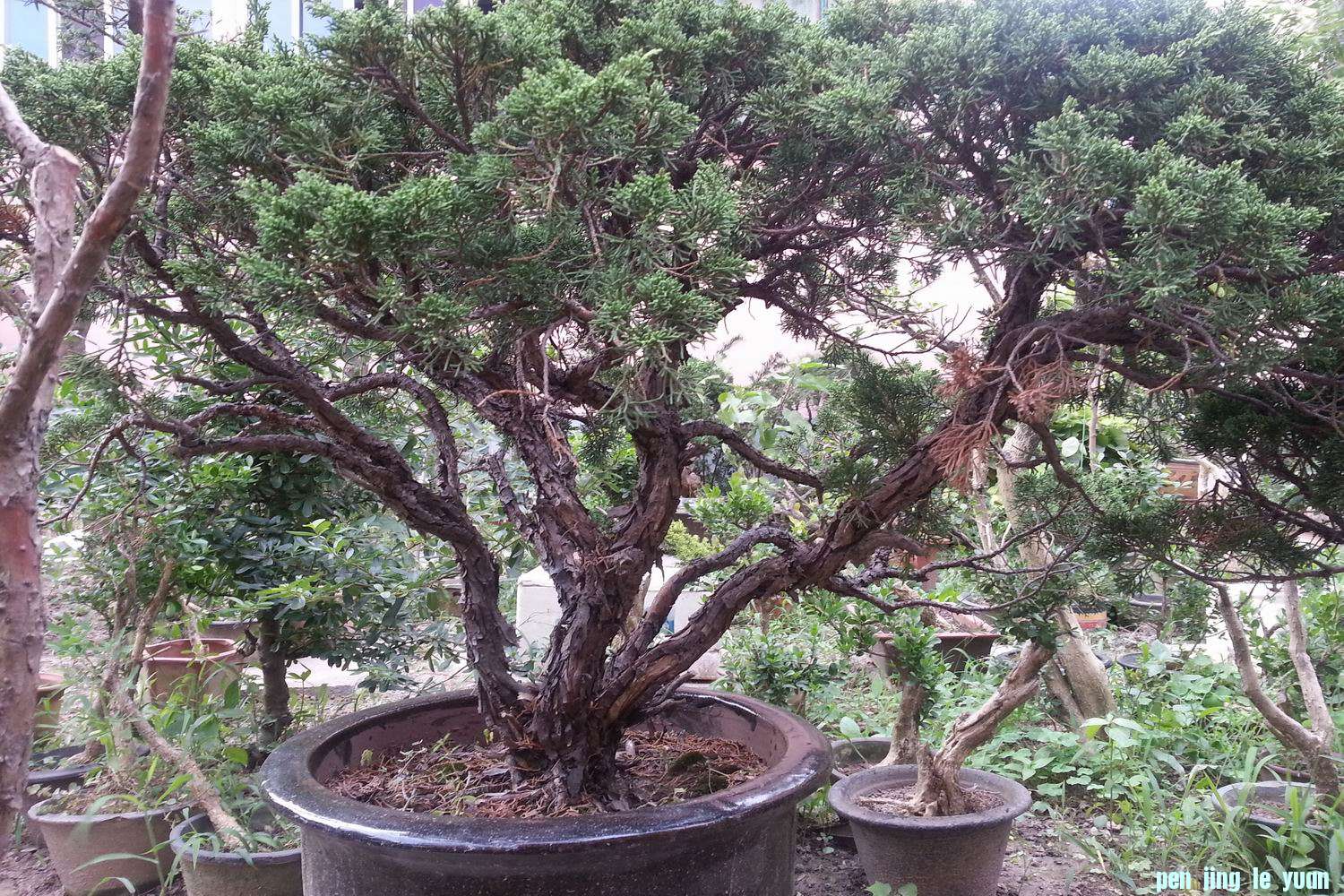 С 20130703_170813.jpg