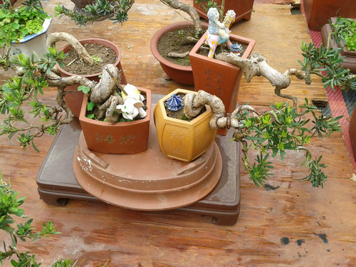 2013-05-06 14.25.17.jpg