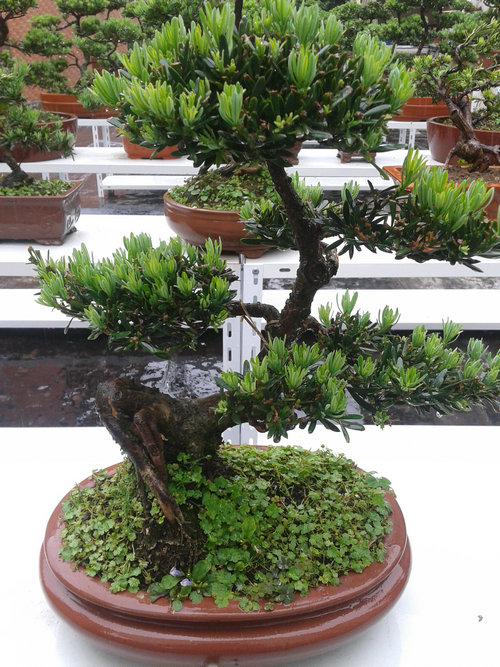 2013-05-16 12.38.40.jpg