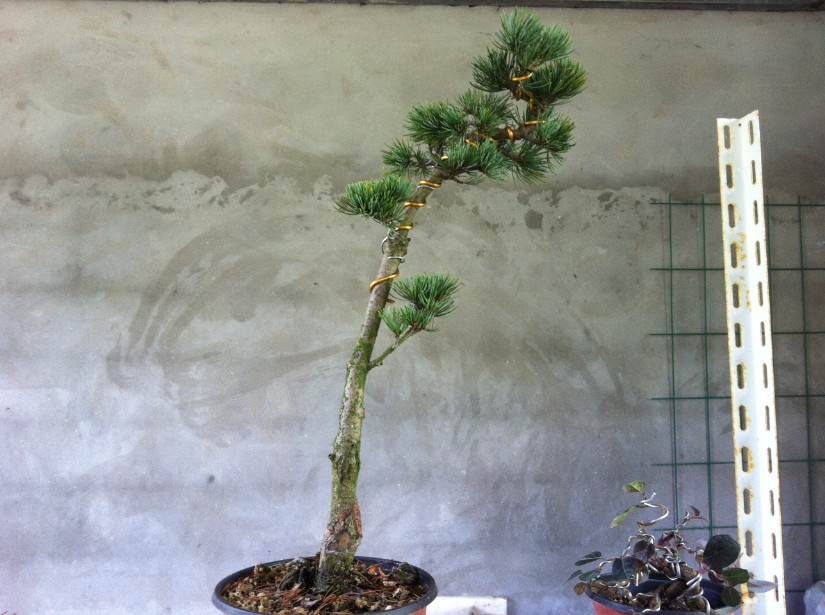 QQͼƬ20130715093942.jpg