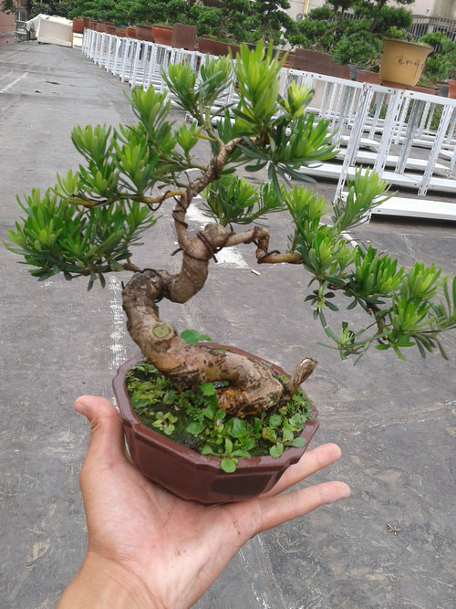 2013-06-29 14.42.52.jpg