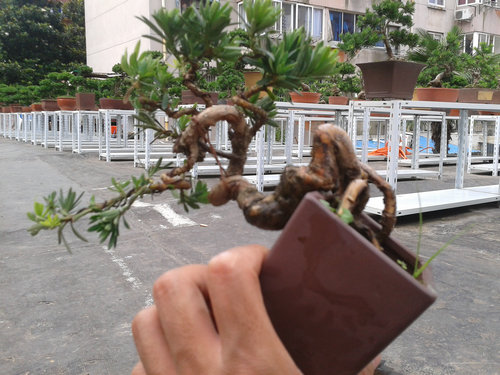 2013-06-29 14.49.30.jpg