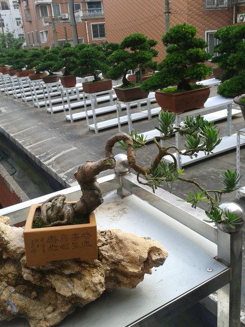2013-07-13 14.45.29.jpg