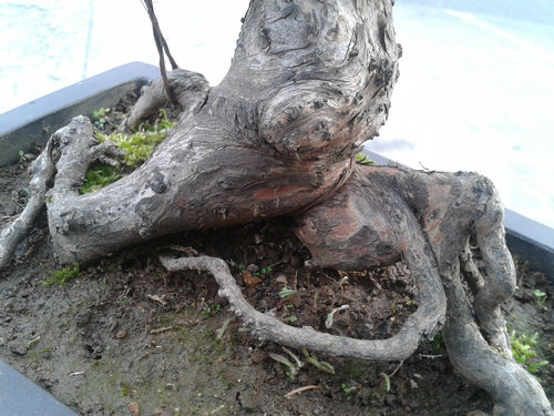 2013-04-17 17.31.41.jpg