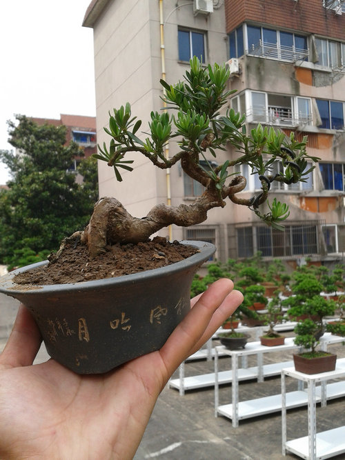 2013-05-29 13.50.00.jpg