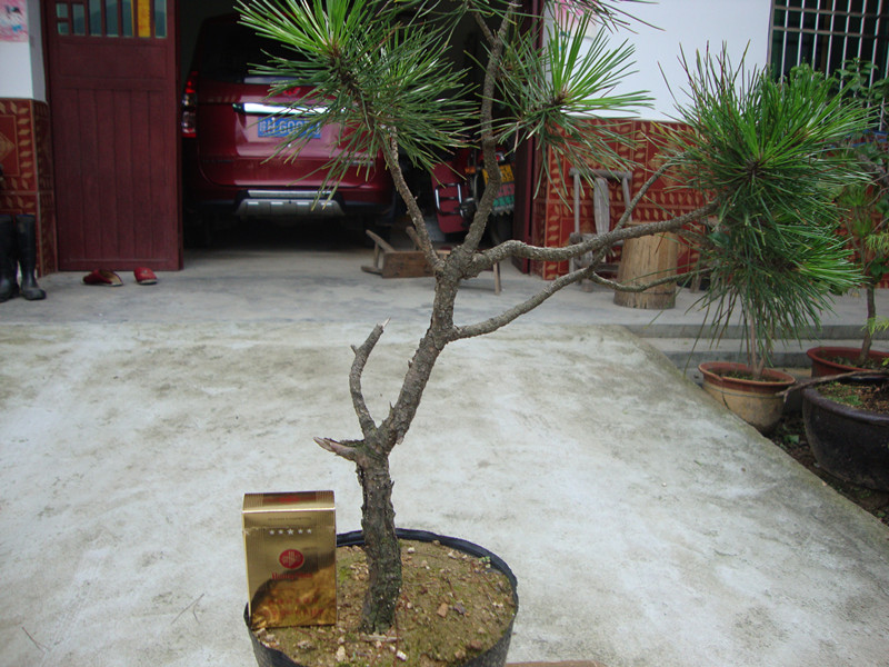 DSC01283_.jpg