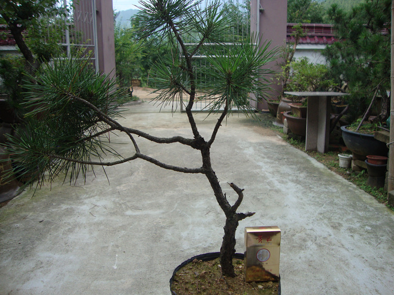 DSC01284_.jpg