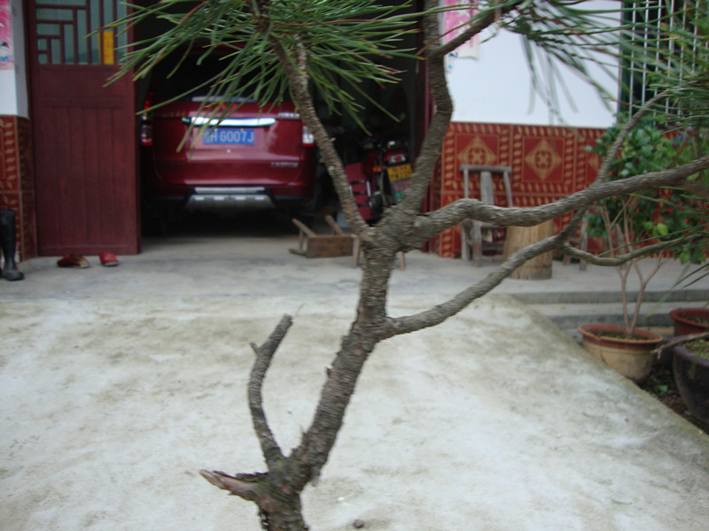 DSC01286_.jpg