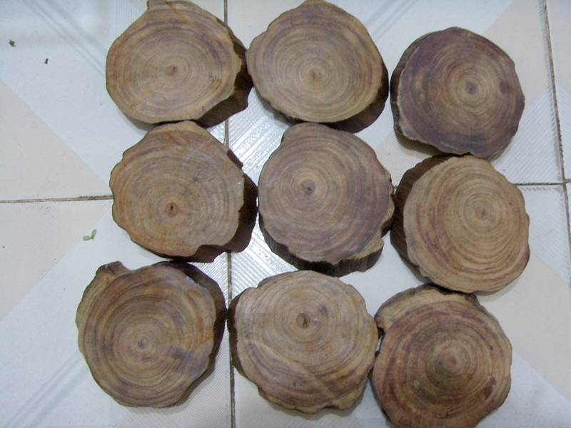 SDC11184__.jpg
