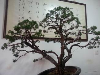 С 20130715_181350.jpg