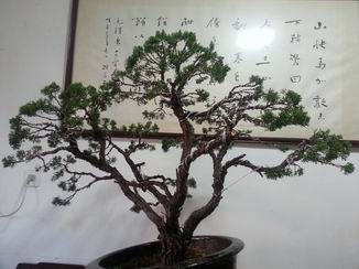 С 20130715_181409.jpg