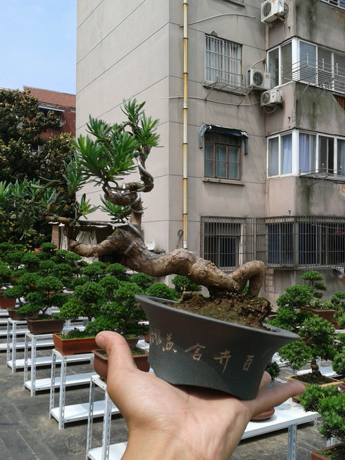 2013-05-27 13.48.02.jpg