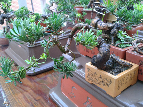 2013-07-15 18.15.34.jpg