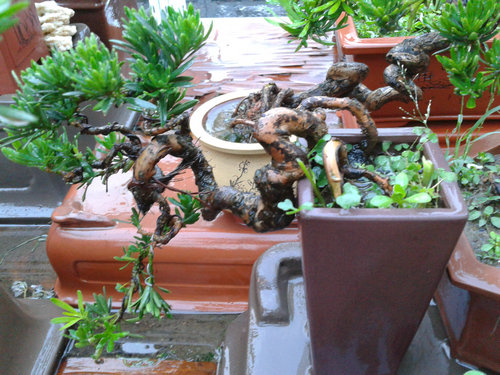 2013-07-15 18.40.18.jpg