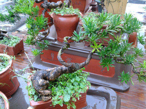 2013-07-15 18.17.34.jpg