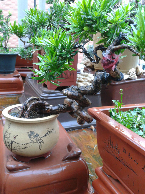 2013-07-15 18.40.48.jpg