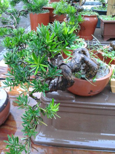 2013-07-15 18.38.40.jpg