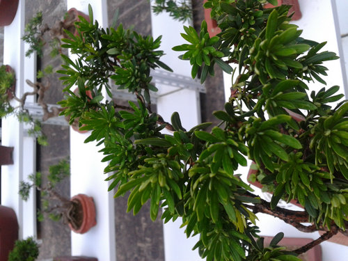 2013-07-15 18.13.39.jpg