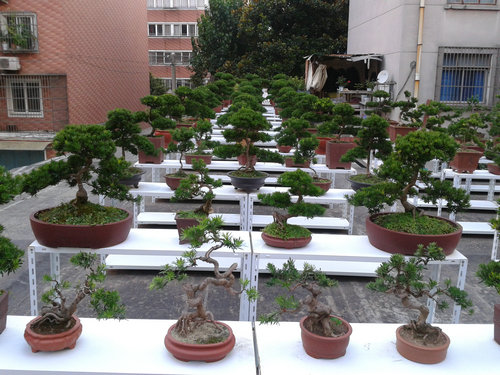 2013-07-15 18.14.25.jpg