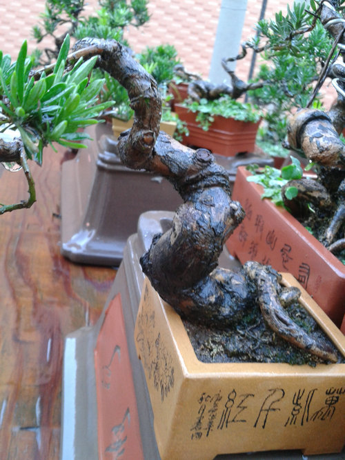 2013-07-15 18.16.07.jpg