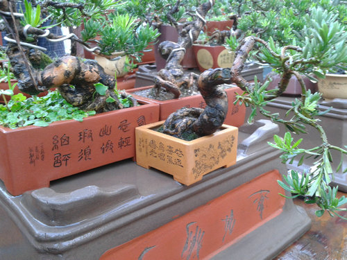 2013-07-15 18.16.24.jpg