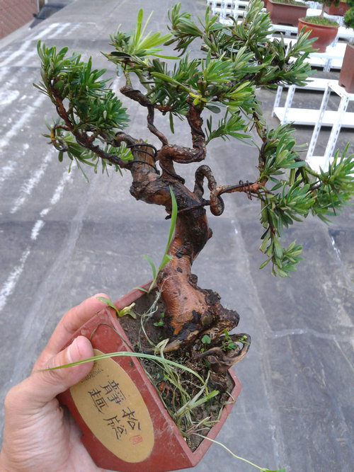 2013-07-15 18.23.27.jpg