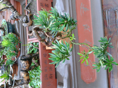 2013-07-15 18.26.38.jpg