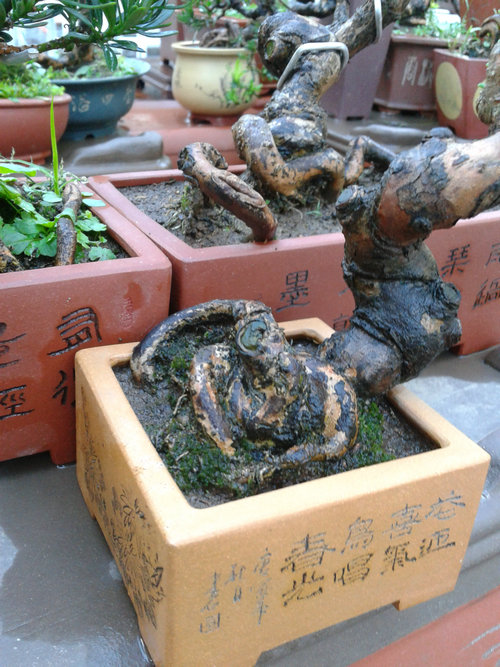 2013-07-15 18.26.19.jpg